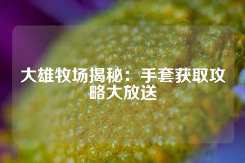 大雄牧场揭秘：手套获取攻略大放送