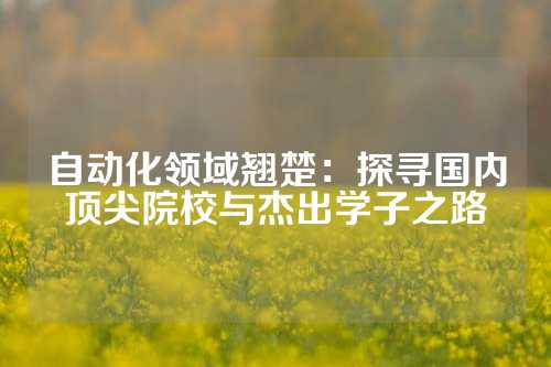 自动化领域翘楚：探寻国内顶尖院校与杰出学子之路