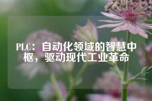 PLC:自动化领域的智慧中枢,驱动现代工业革命