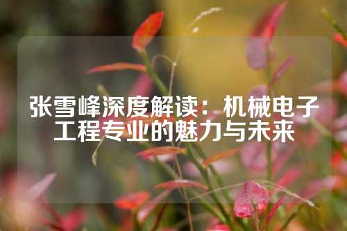 张雪峰深度解读：机械电子工程专业的魅力与未来