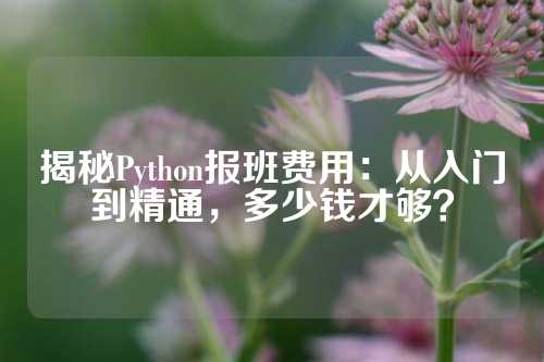 揭秘Python报班费用：从入门到精通，多少钱才够？