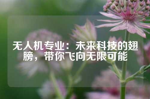 无人机专业：未来科技的翅膀，带你飞向无限可能