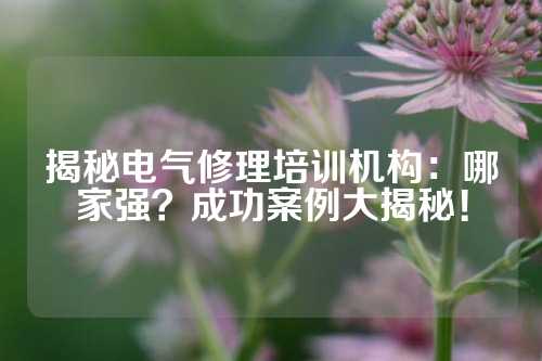 揭秘电气修理培训机构：哪家强？成功案例大揭秘！