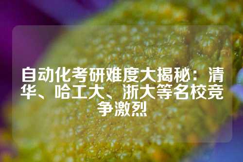 自动化考研难度大揭秘：清华、哈工大、浙大等名校竞争激烈