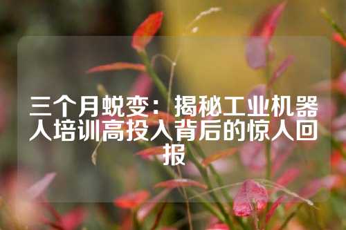 三个月蜕变：揭秘工业机器人培训高投入背后的惊人回报
