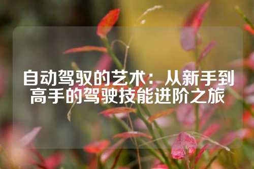 自动驾驭的艺术：从新手到高手的驾驶技能进阶之旅