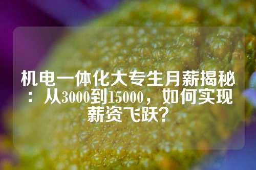 机电一体化大专生月薪揭秘：从3000到15000，如何实现薪资飞跃？
