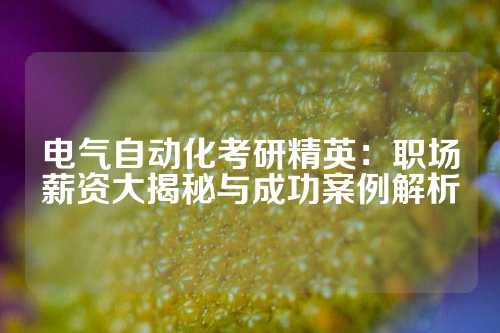 电气自动化考研精英：职场薪资大揭秘与成功案例解析