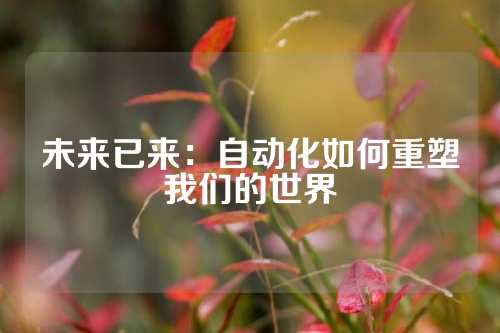 未来已来：自动化如何重塑我们的世界