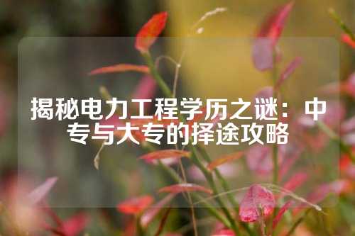 揭秘电力工程学历之谜：中专与大专的择途攻略