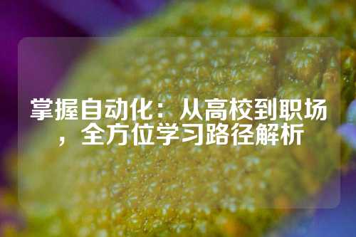 掌握自动化：从高校到职场，全方位学习路径解析