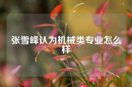 张雪峰认为机械类专业怎么样