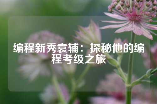 编程新秀袁辅：探秘他的编程考级之旅
