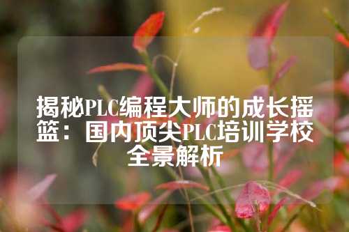 揭秘PLC编程大师的成长摇篮：国内顶尖PLC培训学校全景解析