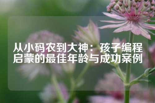 从小码农到大神：孩子编程启蒙的最佳年龄与成功案例