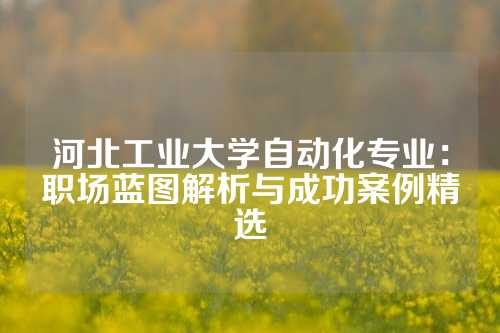 河北工业大学自动化专业：职场蓝图解析与成功案例精选
