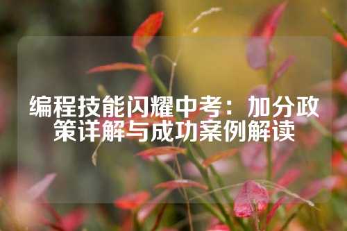 编程技能闪耀中考：加分政策详解与成功案例解读