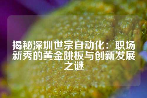 揭秘深圳世宗自动化：职场新秀的黄金跳板与创新发展之谜