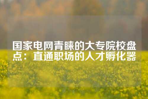 国家电网青睐的大专院校盘点:直通职场的人才孵化器