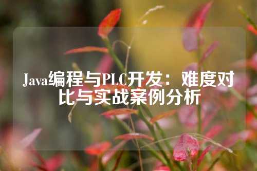 Java编程与PLC开发：难度对比与实战案例分析