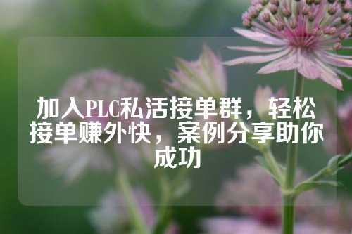 加入PLC私活接单群，轻松接单赚外快，案例分享助你成功