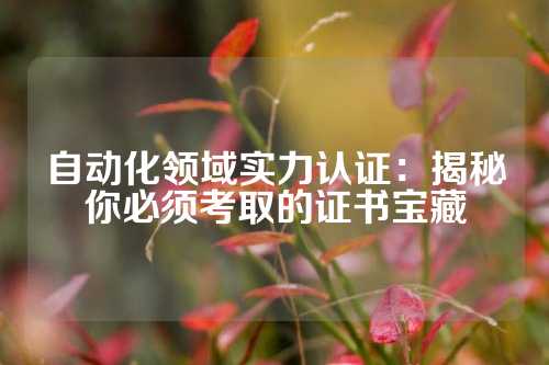 自动化领域实力认证：揭秘你必须考取的证书宝藏
