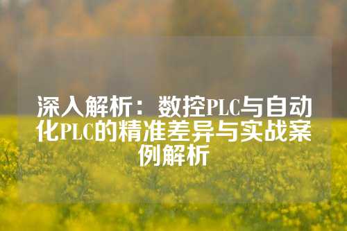 深入解析：数控PLC与自动化PLC的精准差异与实战案例解析
