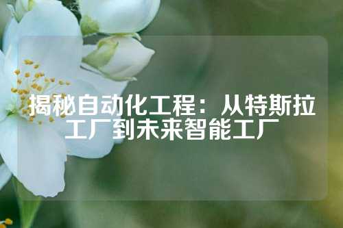 揭秘自动化工程：从特斯拉工厂到未来智能工厂