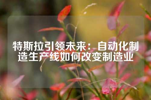 特斯拉引领未来：自动化制造生产线如何改变制造业