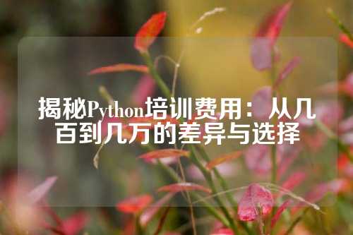 揭秘Python培训费用：从几百到几万的差异与选择