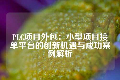 PLC项目外包：小型项目接单平台的创新机遇与成功案例解析