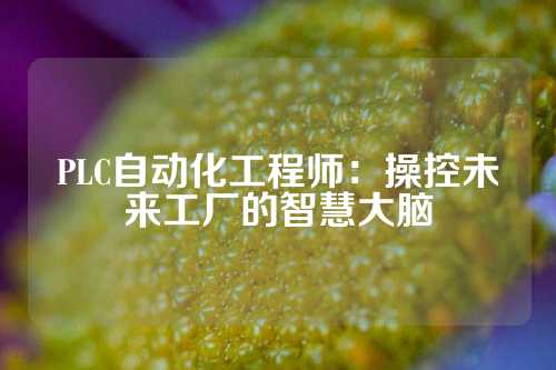 PLC自动化工程师：操控未来工厂的智慧大脑