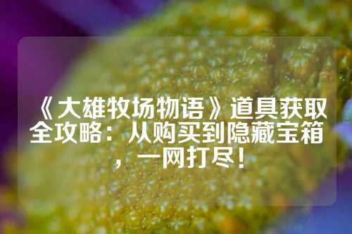 《大雄牧场物语》道具获取全攻略：从购买到隐藏宝箱，一网打尽！