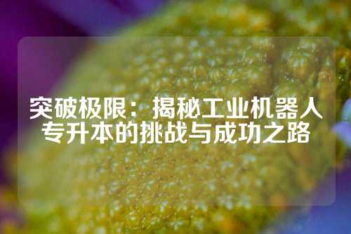 突破极限：揭秘工业机器人专升本的挑战与成功之路