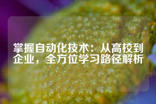 掌握自动化技术：从高校到企业，全方位学习路径解析
