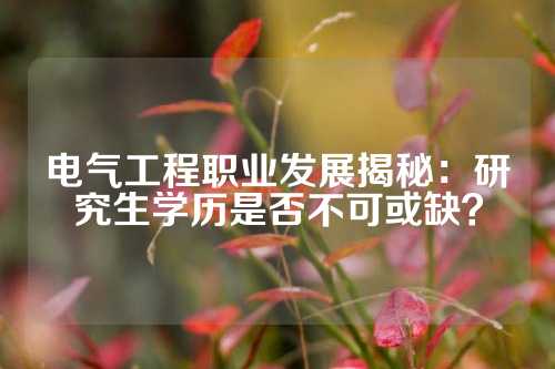 电气工程职业发展揭秘：研究生学历是否不可或缺？