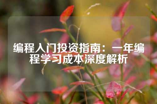 编程入门投资指南：一年编程学习成本深度解析