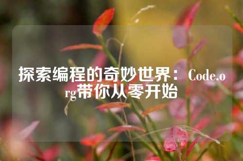 探索编程的奇妙世界：Code.org带你从零开始
