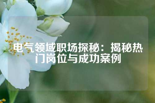 电气领域职场探秘:揭秘热门岗位与成功案例