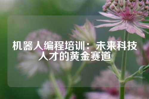 机器人编程培训：未来科技人才的黄金赛道