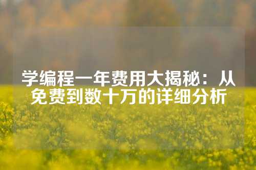 学编程一年费用大揭秘：从免费到数十万的详细分析