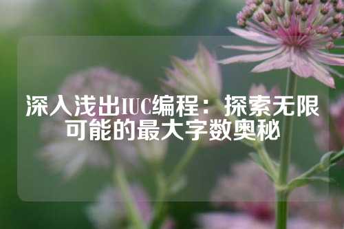 深入浅出IUC编程：探索无限可能的最大字数奥秘
