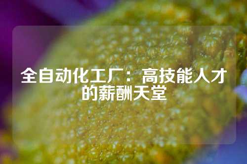 全自动化工厂：高技能人才的薪酬天堂