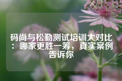 码尚与松勤测试培训大对比：哪家更胜一筹，真实案例告诉你