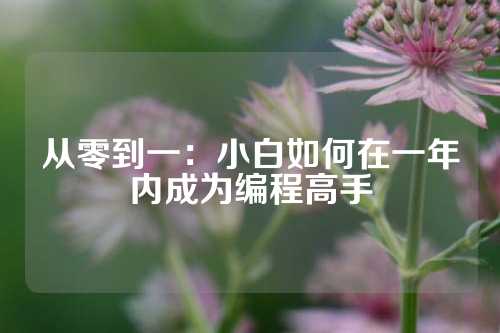 从零到一：小白如何在一年内成为编程高手
