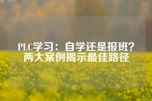 PLC学习：自学还是报班？两大案例揭示最佳路径