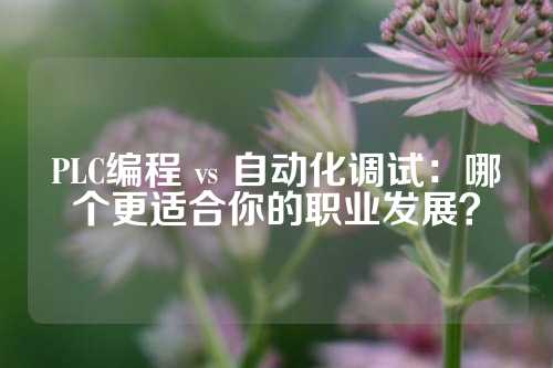 PLC编程 vs 自动化调试：哪个更适合你的职业发展？