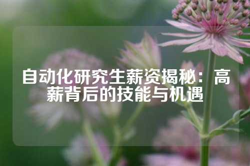 自动化研究生薪资揭秘：高薪背后的技能与机遇