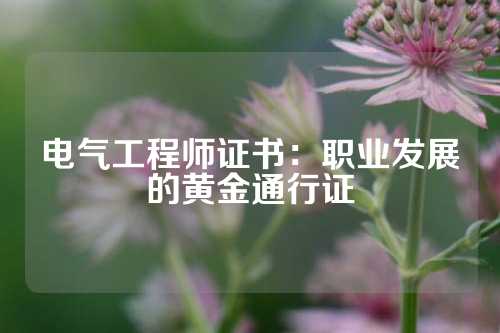 电气工程师证书：职业发展的黄金通行证