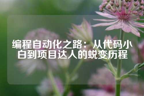 编程自动化之路：从代码小白到项目达人的蜕变历程